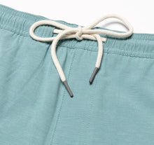 Load image into Gallery viewer, 8” St. Marks Performance Short (Arctic Blue)